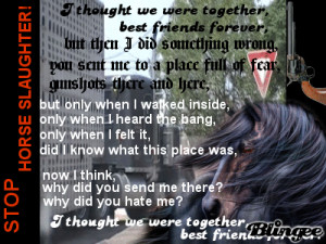 Stop Horse Slaughter Stop horse slaughter banner