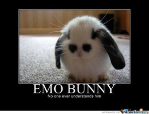 Emo Bunny