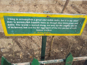 Inspirational quotes painted by students were 'planted' throughout the ...