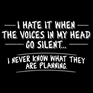 Hate It When The Voices In My Head Go Silent...I Never Know What ...