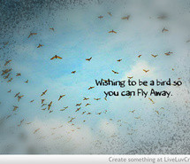cute, fly away, life, quote, quotes