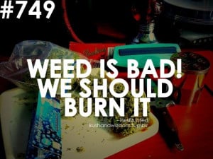 weed-is-bad-burn-it-thcfinder.jpg
