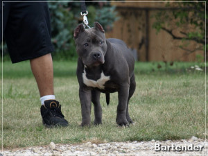 ... Scared Quotes · Justin Bieber Smile 2010 · Funny Ghetto Quotes For