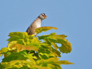 Outgoing Personality Quotes Outgoing personality.