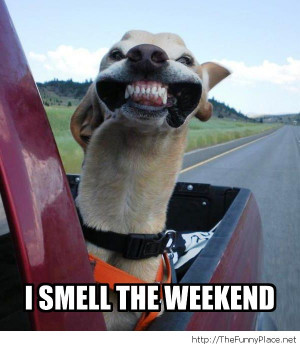 It 39 S The Weekend Quotes Funny