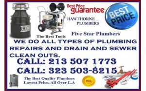 Drain Quotes