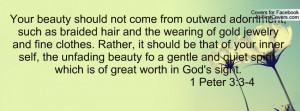 Your beauty should not come from outward adornment, such as braided ...