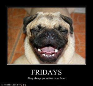 friday quotes happy friday laugh funny dogs pug dog funny pugs friday ...