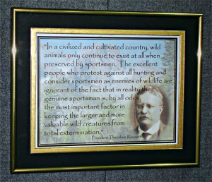 Teddy Roosevelt Quote Custom Framed