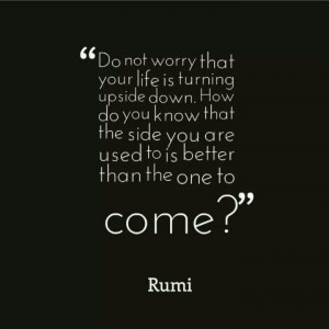 Pinned by Lee Traxler