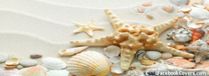 White Sand Starfish Seashell Summer Facebook Cover