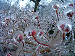 The following 26 ice formations are uniquely beautiful, so much so ...