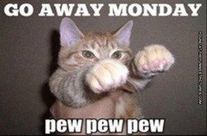 Funny Friday Animals Monday...
