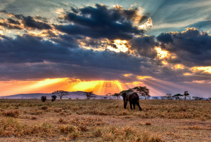 Serengeti National Park, Tanzania