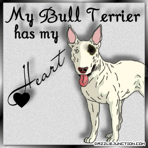 Pets Bull Terrier Heart quote