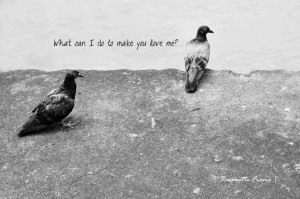 Quotes About Life: Picture Of The Birds And The Quote About Life ...