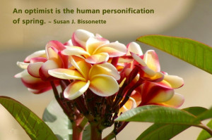 An Optimist Is The Human Personification Of Spring Flower Graphic