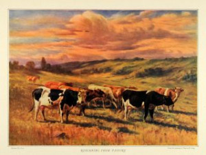 1923 Print Thomas B Craig Agriculture Art Cows Return Pasture Cattle