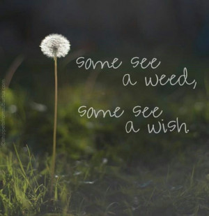 Some see a weed. Some see a wish. Free Spirit Girl