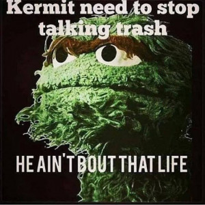15 Even Funnier Kermit The Frog Memes Part 2 Nowaygirl