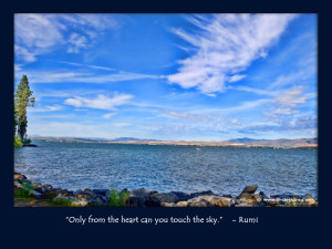 Rumi Quotes