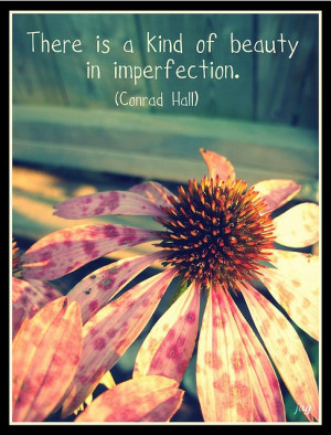 beauty quotes beauty quotes imperfection kind