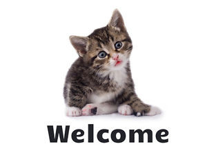 Cute-Kitten-Cat-Design-Welcome-Sign-Saying-Quote-Poster-Wall-Art-Home ...