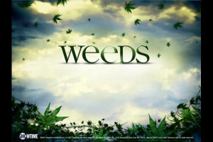 Weeds TV series Photo