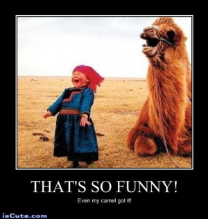 Even the Camel is Laughing!