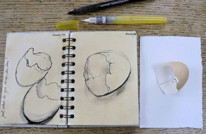 have continued drawing my egg shell and love the simplicity of the ...