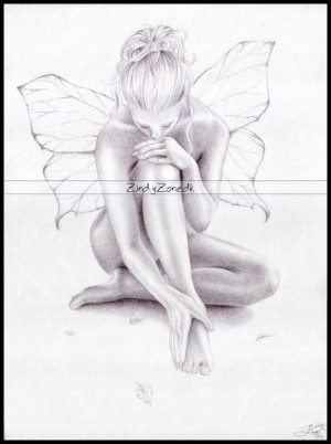 butterfly pencil drawings