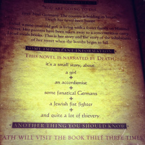 novel worthy of universal acclaim… The story of the Book Thief ...