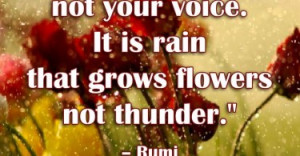 Raise your words not your voice. It is rain that grows flowers not ...