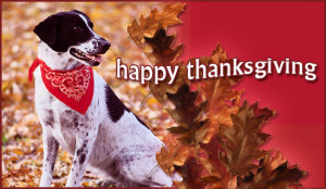 happy thanksgiving ecard send free personalized thanksgiving cards ...