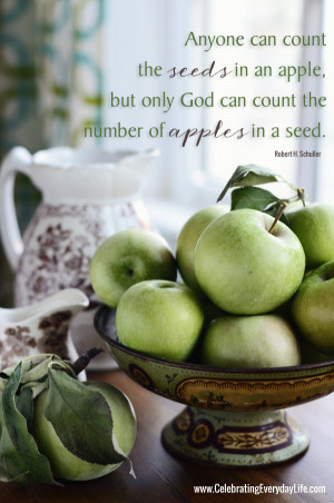 ... apple, but only God can count the number of apples in a seed, apple