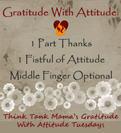 have a few words you d like to share give a holla to adrienzgirl at ...