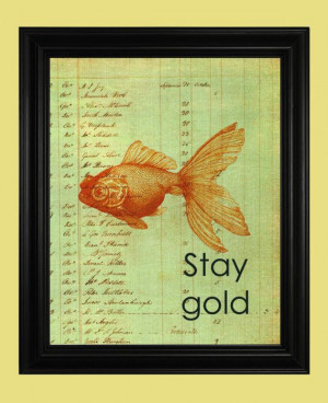 ... Illustrations, Goldfish Art, Gold Quotes, Quotes Goldfish, Stay Gold