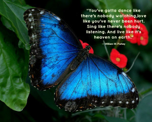 Quotes About Butterflies and Angels