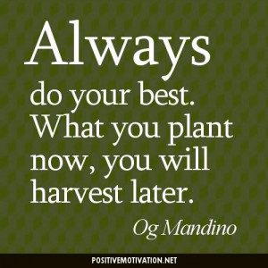 ... you plant now, you will harvest later. Og Mandino #daily_inspiration