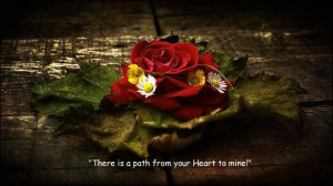 ... Quotes, Jehovah Witness, Jehovah Words, Jehovah God, Rumi Quotes, ℳi