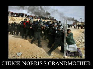 chuck-norris-grandmother-e1322130478479.jpg