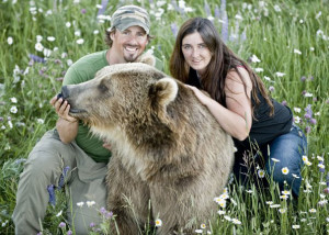 Wild Lynx | Nature - Animals - Music - Films - Quotes