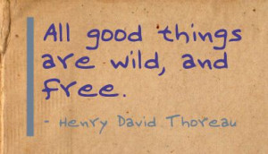 Person is said to have achieved yoga ~ Freedom Quote