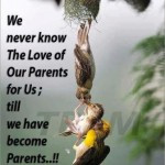 Parents Day Inspirational Quotes, Poems, Messages, Featured, Songs
