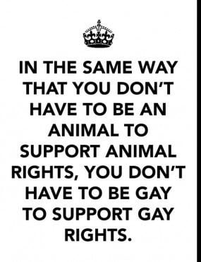 ... support animal rights, you don’t have to be gay to support gay
