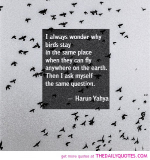 ... birds-stay-harun-yahya-motivational-inspirational-quotes-sayings