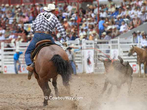 Cowgirl Roping Quotes Team roping header lance