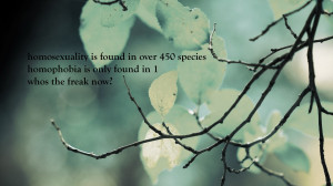 ... , minimalistic, text, funny, funny quotes, Famous Quote wallpapers