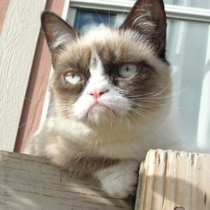 Grumpy Cat - Quilen