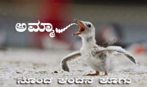 Kannada Funny Sayings | Funny Pictures | Funny Quotes
